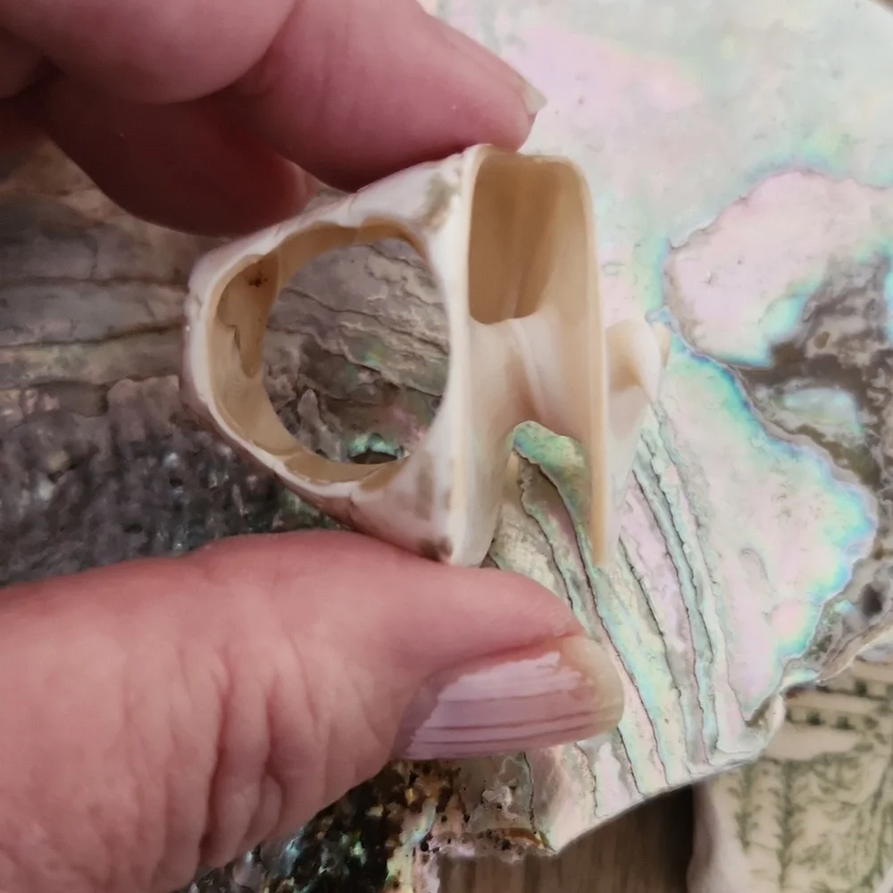 Sea Shell Ring - Picture 2 of 7